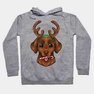 Christmas Chocolate Labrador Retriever Dog Blue/Green Eyes Hoodie